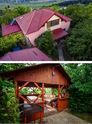  Hlincea Schimb Casa  cu două apartamente 