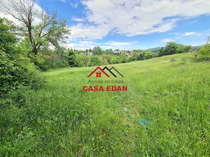 Teren intravilan in Campina--4355mp--28.500 euro - imagine 7