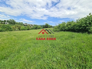Teren intravilan in Campina--4355mp--28.500 euro