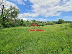 Teren intravilan in Campina--4355mp--28.500 euro - imagine 3