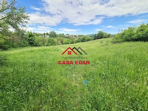 Teren intravilan in Campina--4355mp--28.500 euro - imagine 8