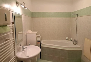 Apartament de inchiriat 2 camere Centru Vechi - imagine 4