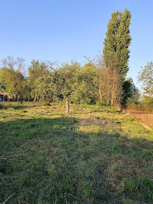 Vând proprietate în Șibot Alba - imagine 5