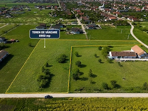 Teren intravilan 6.900 mp   Livada, jud. Arad   ideal investiție   parcelare - imagine 2