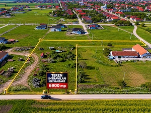 Teren intravilan 6.900 mp   Livada, jud. Arad   ideal investiție   parcelare
