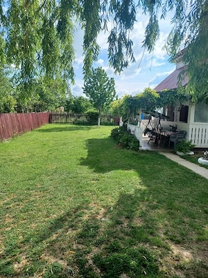 Teren 30 ARI intravilan de vanzare , Strada Dara , 7.000 euro Aria  - imagine 4