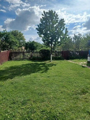 Teren 30 ARI intravilan de vanzare , Strada Dara , 7.000 euro Aria  - imagine 9