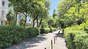 Codrul Cosminului, apartament 2 camere, beci in acte.