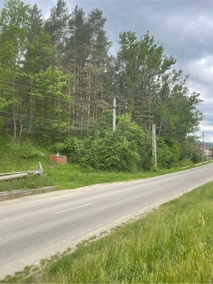 Vand teren cu vegetatie forestiera Manzalesti Grunj - imagine 4