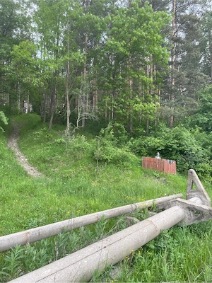 Vand teren cu vegetatie forestiera Manzalesti Grunj - imagine 6