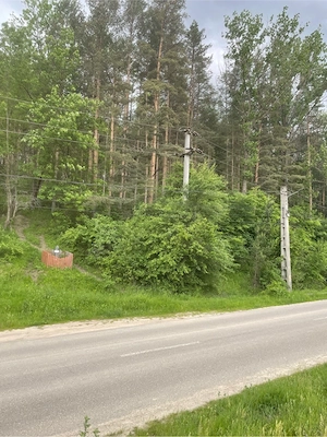 Vand teren cu vegetatie forestiera Manzalesti Grunj - imagine 5