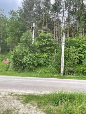 Vand teren cu vegetatie forestiera Manzalesti Grunj - imagine 7