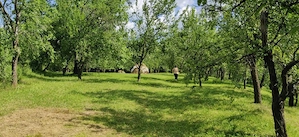 Vand teren Maneciu Pamanteni