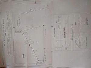 Teren de vis 3810mp Comarnic Prahova proprietar - imagine 3