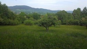 Teren de vis 3810mp Comarnic Prahova proprietar - imagine 2