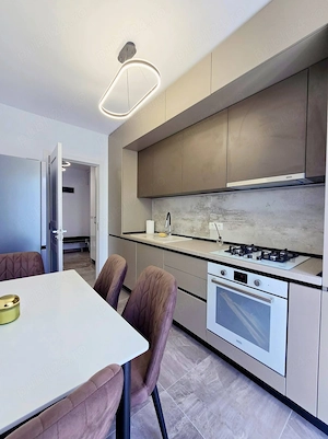 Apartament 2 Camere Rodin Residence, Strada Piersicului  - imagine 6