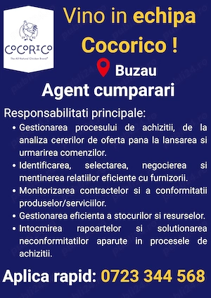 Angajam Agent Cumparare in Buzau