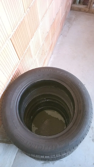 Anvelope de vară goodyear 205 60 16 cu dot 08 2025! - imagine 8