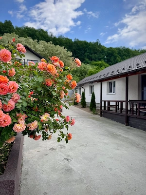 Casa de vanzare!