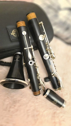 Clarinet Selmer Prologue 2 - imagine 2