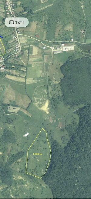 Teren Extravilan Compact   4 Hectare (40.000 mp)   UAT Bistrița
