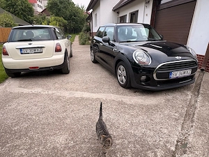 MINI One 1.5 Diesel 95cp 5 Usi  - imagine 10