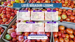 Rasad rosii, castraveti, vinete, ardei si alte rasaduri legume 2026