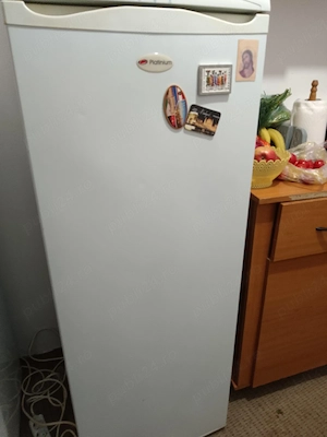 frigider cu congelator arctic 