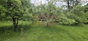 Teren de vanzare in Breaza, Nistoresti - imagine 4