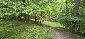 Teren de vanzare in Breaza, Nistoresti - imagine 8