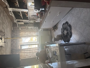 Vând apartament cu 4 camere - imagine 2