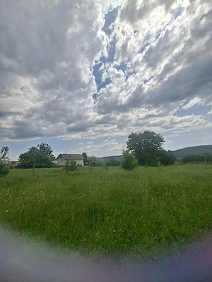 vant urgent teren 5000mp in localitatea hales  - imagine 3