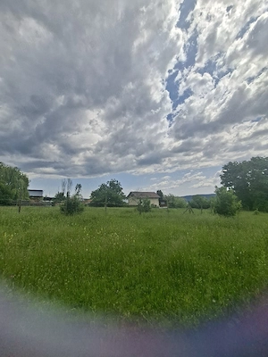 vant urgent teren 5000mp in localitatea hales 