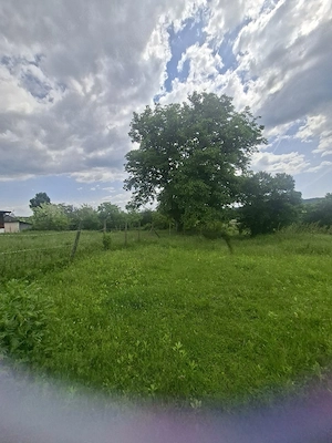 vant urgent teren 5000mp in localitatea hales  - imagine 2