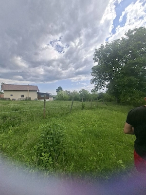 vant urgent teren 5000mp in localitatea hales  - imagine 4