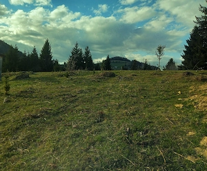 Teren 10 arii   Obcioara   Piatra Fântânele, aproape de Tășuleasa Social