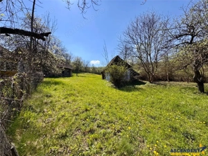 Casa traditionala,zona pitoreasca,domeniu de 3.400 mp,Suveica,Acatari,Mures - imagine 18
