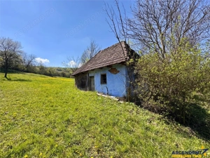 Casa traditionala,zona pitoreasca,domeniu de 3.400 mp,Suveica,Acatari,Mures - imagine 19