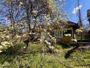 Casa traditionala,zona pitoreasca,domeniu de 3.400 mp,Suveica,Acatari,Mures - imagine 16