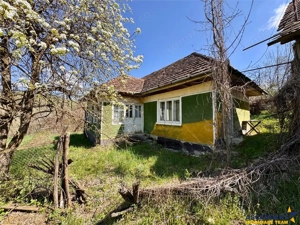 Casa traditionala,zona pitoreasca,domeniu de 3.400 mp,Suveica,Acatari,Mures - imagine 17