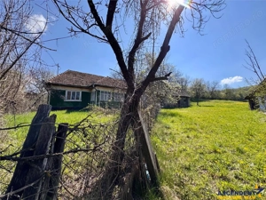 Casa traditionala,zona pitoreasca,domeniu de 3.400 mp,Suveica,Acatari,Mures - imagine 15