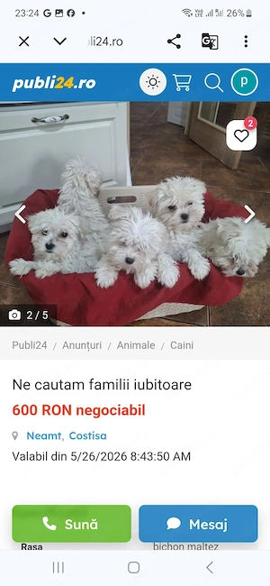 Ne cautam casuta - imagine 2