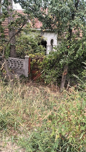 Casa batraneasca si Teren 4187 mp (Intravilan + Extravilan) cu fântână, Sinești (Mijlocu), Vâlcea - imagine 4