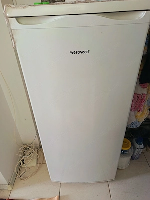 congelator westwood