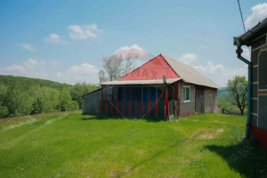 De vânzare casă cu teren și pădure 55706 mp - Șinteu, Valea Târnei - imagine 8