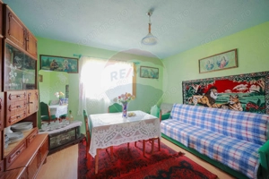 De vânzare casă cu teren și pădure 55706 mp - Șinteu, Valea Târnei - imagine 9