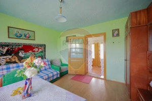 De vânzare casă cu teren și pădure 55706 mp - Șinteu, Valea Târnei - imagine 6