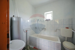De vânzare casă cu teren și pădure 55706 mp - Șinteu, Valea Târnei - imagine 7