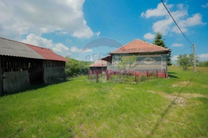 De vânzare casă cu teren și pădure 55706 mp - Șinteu, Valea Târnei - imagine 12