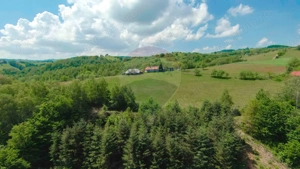 De vânzare casă cu teren și pădure 55706 mp - Șinteu, Valea Târnei - imagine 17
